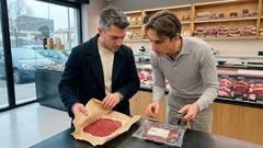 Cavalli “non Dpa” e carne di cavallo: cosa sta valutando il Senato (e cosa potrebbe cambiare a tavola)